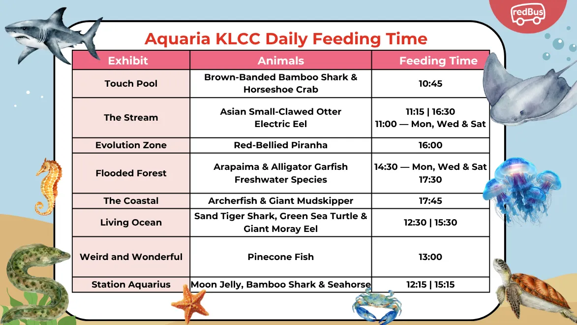 Aquaria KLCC Feeding time